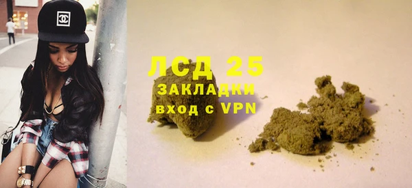 индика Алексеевка